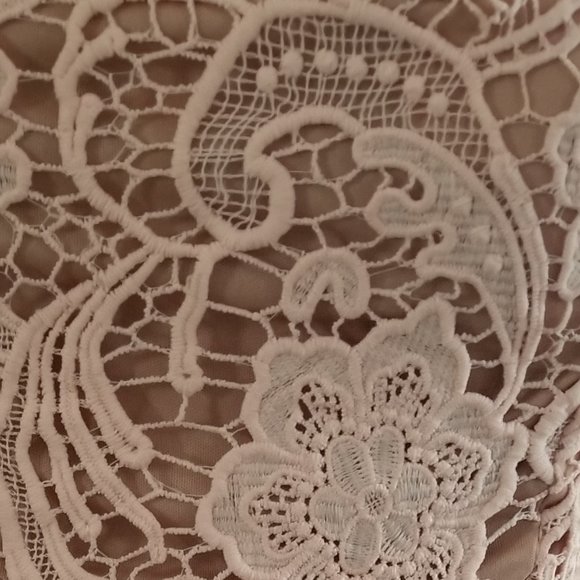 EUC Asos Lace Embroidered Sleeveless Semi Formal Dres - Picture 4 of 10